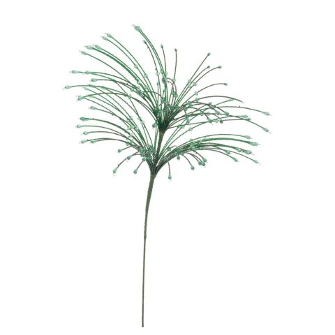 RAMO ZACARY VERDE H.63